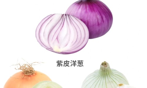 中成药功效速记口诀网 - 常用中成药功效一览表,中成药功效记忆技巧
